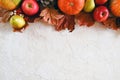 Fall seasonal food, thanksgiving day concept. Pumpkins, fruits and autumn maple leaves. Autumn still life, copy space. Royalty Free Stock Photo