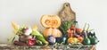 Fall seasonal vegetarian food ingredients variety, copy space, wide composition