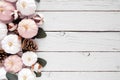 Fall side border of dusty rose and white pumpkins and eucalyptus leaves over a white wood background