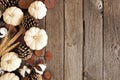Fall side border of white pumpkins with brown autumn decor over a rustic dark wood background