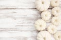 Fall side border of white pumpkins over a white rustic wood background Royalty Free Stock Photo