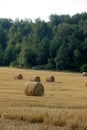 Fall. Slanted field.