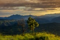 Fall and Spring at Sunset - Nepal