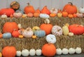 Colorful fall squash and pumpkin varieties on straw bales