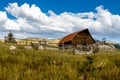 Fall in Steamboat Springs Colorado Royalty Free Stock Photo