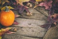 Fall Still Life with Mini Pumpkin and Maple Leaves on Rustic Wood boards as a Thankgiving or Halloween design element, copy space Royalty Free Stock Photo