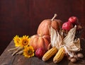 Fall still life with pumpkins, corns and apples against the background of old wooden wall with copy space for text