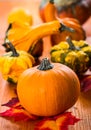 Fall Still Life with pumpkins and gourds