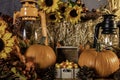 Fall still life with pumpkins and candy corn Royalty Free Stock Photo