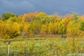 Fall Storm Clouds at High Cliff State Park. Sherwood, WI Royalty Free Stock Photo