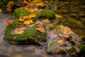 Fall stream