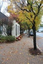 Fall Street Scene