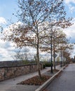 A fall street scene in the Summerset neighborhood in Pittsburgh, Pennsylvania, USA Royalty Free Stock Photo