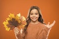 Fall symbol. Simple bouquet. Collecting leaves. Natural treasures. Changes in nature. Happy little girl with maple