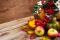 Fall enterpiece with rowan berries, green pumpkin, oak leaves an Royalty Free Stock Photo