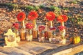 Fall and table decorations in nature Royalty Free Stock Photo