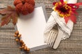 Fall Table Setting with Blank Invite or Menu Card with space or room for your copy, text or design. A horizontal photo with fork,