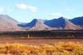 Fall Talkeetna Mountains Royalty Free Stock Photo