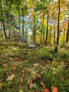 Fall tent camping