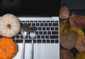 Fall Thanksgiving and Halloween pumpkins, dry leaves and have laptop computer