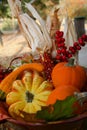 Fall Thanksgiving Harvest Basket