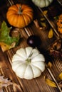 Fall thanksgiving still life with pumpkins assortment, chestnuts, autumn leaves Royalty Free Stock Photo