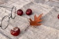 Fall theme flat lay, with chestnuts a brown leaf, and simple glasses. fall concept