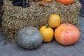 Fall theme. Several pumpkins and a bale of straw