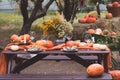 Fall themed holiday table setting arrangement for a seasonal party, banner, toned Royalty Free Stock Photo