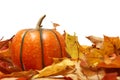 Fall Time Royalty Free Stock Photo