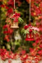 Fall time. Autumn decoration. Candlesticks in the form of lanter Royalty Free Stock Photo