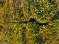 Fall time. A drone view of the river in the woods. An aerial view of an autumn forest. River among the trees. Royalty Free Stock Photo