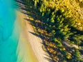 Fall time. A drone view of the river in the woods. An aerial view of an autumn forest. River among the trees. Royalty Free Stock Photo