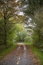 Fall time with leaves on a bicycle path Royalty Free Stock Photo