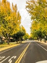 Fall time in Modesto California