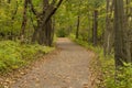 Fall Trail Scenic Royalty Free Stock Photo