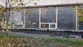 Fall tree branches in front of old building with glass square block wal