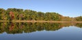 Fall tree reflection on lake in Michigan.