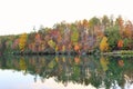 Fall Trees along a lake Royalty Free Stock Photo