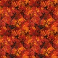 Fall trees. Autumn maple red and orange leaves. AI generative illustration