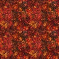 Fall trees. Autumn maple red and orange leaves. AI generative illustration