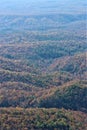 Fall trees on Blue Ridge Mountains, vertical Royalty Free Stock Photo