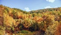 Fall trees changing color in Berkshires, Massachusetts USA Autumn