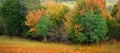 Fall Trees in Field with Mountains in Background