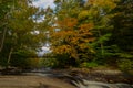 Fall trees with a foot bridge and a stream running through.