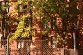 Fall trees in front of apartment building in Tempelhof Berlin Germany Royalty Free Stock Photo