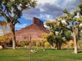 Fall Trees at Gateway Canyons Resort and Spa