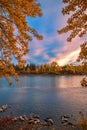Fall Trees Lining The Bow River At Sunrise Royalty Free Stock Photo