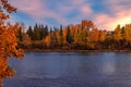 Fall Trees Lining The Bow River At Sunrise Royalty Free Stock Photo
