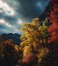 Fall trees and moody skies